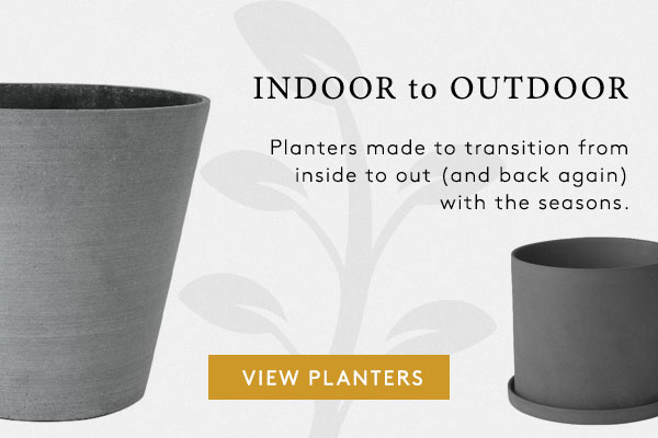 Indoor to Outdoor Planters