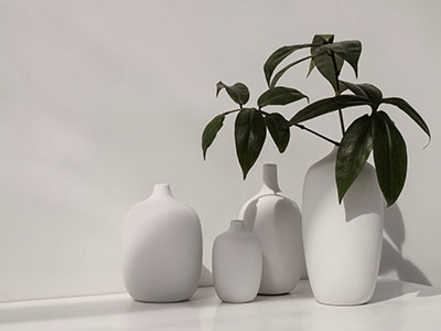 Ceola Vases