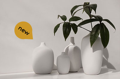 NEW! Ceola Vases