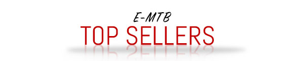 E-MTB Top Sellers