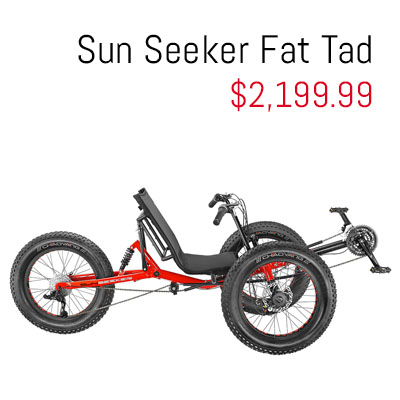 Sun Seeker Fat Tad